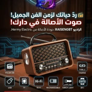 Radio Vintage Bluetooth Raiseng R-159BT Rechargeable FM/AM/SW Tunisie - 65 DT - Hermy Electro